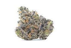 Buy Apple Fritter Cannabis Strain online