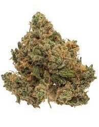 Buy God Bud Marijuana Strain Online