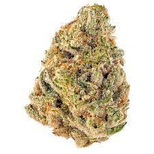 Buy Cheetah Piss Weed Strain Online