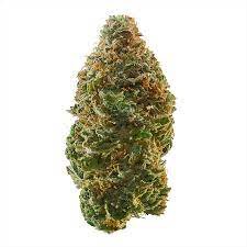 Buy Apple Jack Marijuana Strain Online