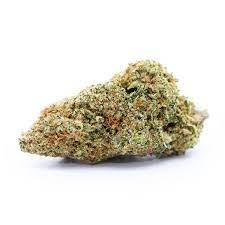 Buy Blissful Wizard Weed Strain EU Online