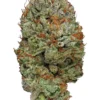 Buy Cookie Glue Weed Strain Online