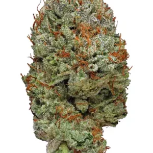 Buy Cookie Glue Weed Strain Online