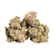 Buy Cookies Cannabis Strain