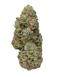 Buy Elmer’s Glue Marijuana Strain Online