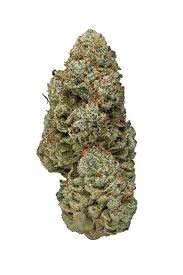 Buy Elmer’s Glue Marijuana Strain Online