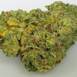 24K GOLD Marijuana Strain