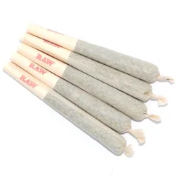 10 Gorilla Glue #4 Pre-Rolled Joints