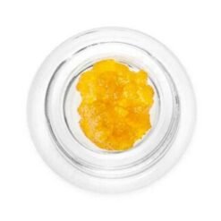 Buy Zookie Land Live Resin in Germany