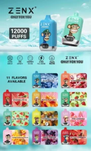 ZENX NFT Digital Box 12000 Puffs Disposable Vape Pod - 20ML(Nic 2%/5%)